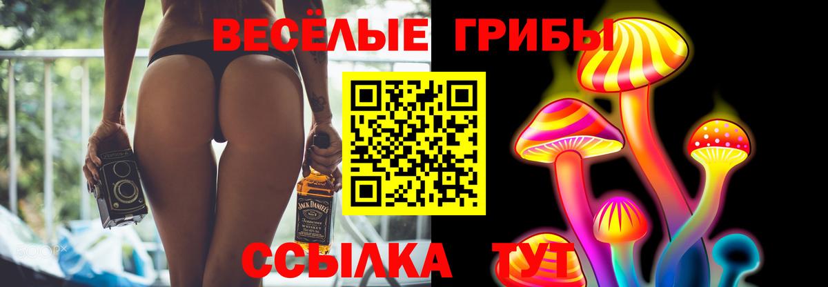 Псилоцибиновые грибы мицелий Котовск